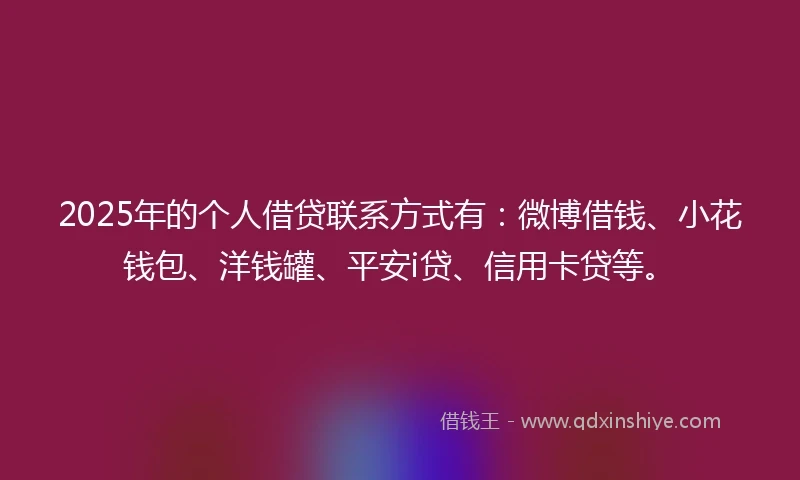 2025年的个人借贷联系方式有：微博借钱、小花钱包、洋钱罐、平安i贷、信用卡贷等。