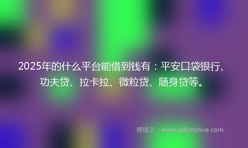 2025年的什么平台能借到钱有：平安口袋银行、功夫贷、拉卡拉、微粒贷、随身贷等。