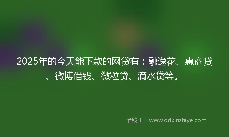2025年的今天能下款的网贷有：融逸花、惠商贷、微博借钱、微粒贷、滴水贷等。