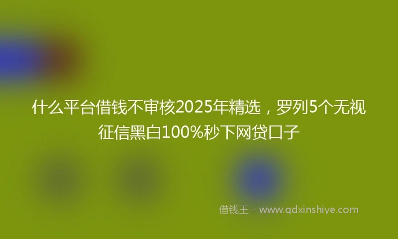 什么平台借钱不审核2025年精选，罗列5个无视征信黑白100%秒下网贷口子