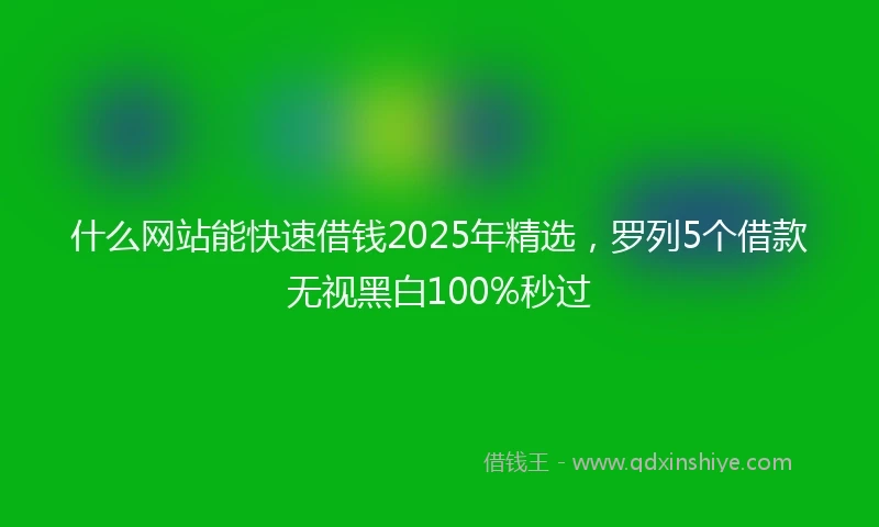什么网站能快速借钱2025年精选，罗列5个借款无视黑白100%秒过