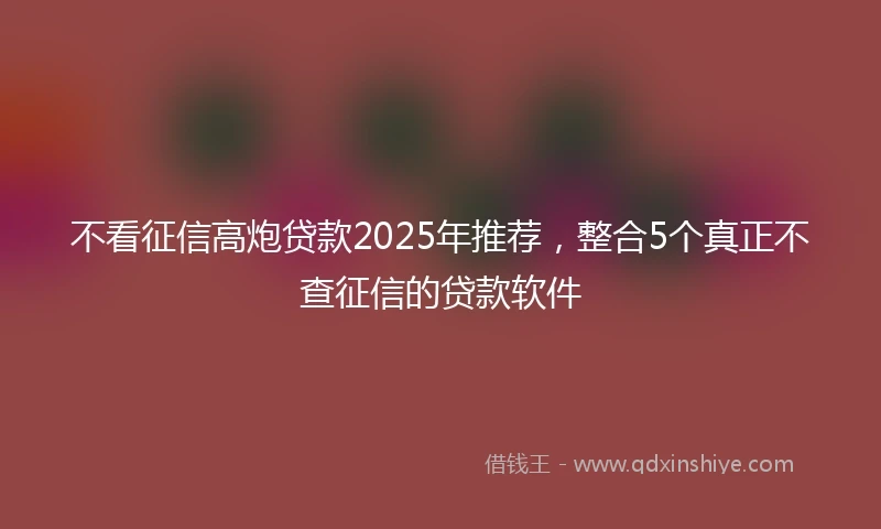 不看征信高炮贷款2025年推荐，整合5个真正不查征信的贷款软件