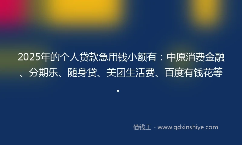 2025年的个人贷款急用钱小额有：中原消费金融、分期乐、随身贷、美团生活费、百度有钱花等。