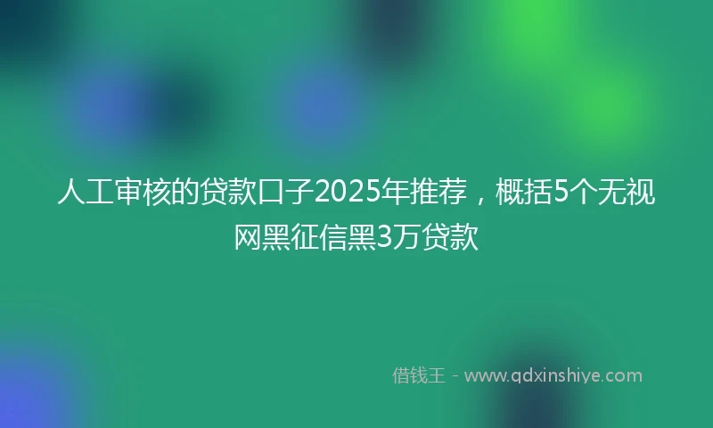 人工审核的贷款口子2025年推荐，概括5个无视网黑征信黑3万贷款