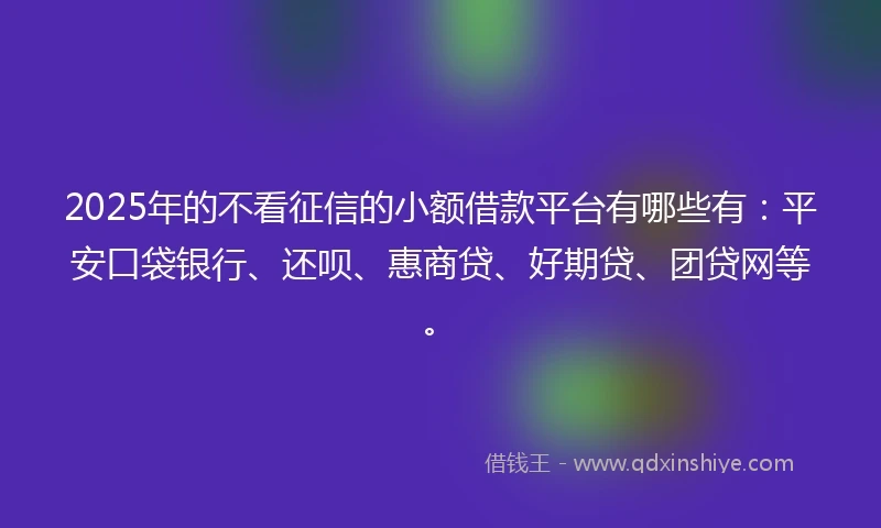 2025年的不看征信的小额借款平台有哪些有：平安口袋银行、还呗、惠商贷、好期贷、团贷网等。