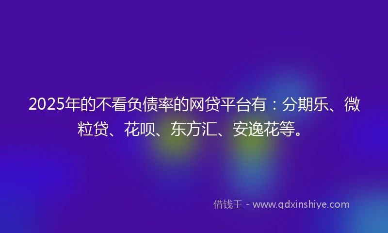 2025年的不看负债率的网贷平台有：分期乐、微粒贷、花呗、东方汇、安逸花等。