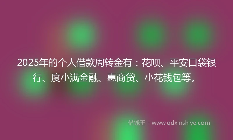 2025年的个人借款周转金有：花呗、平安口袋银行、度小满金融、惠商贷、小花钱包等。