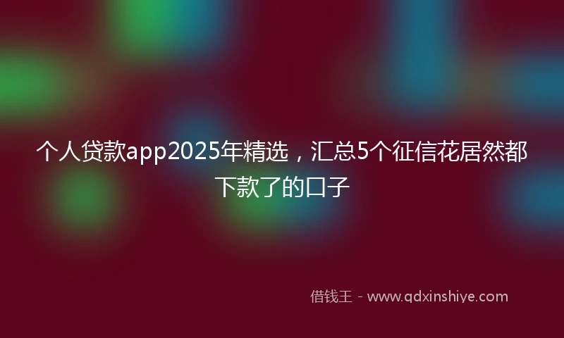 个人贷款app2025年精选，汇总5个征信花居然都下款了的口子