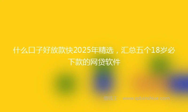 什么口子好放款快2025年精选，汇总五个18岁必下款的网贷软件