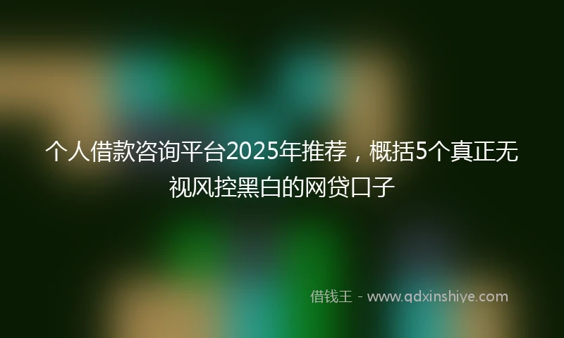 个人借款咨询平台2025年推荐，概括5个真正无视风控黑白的网贷口子