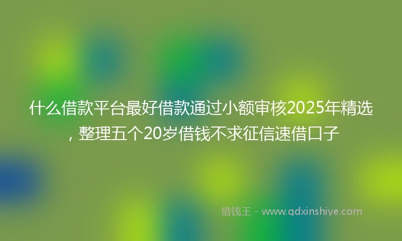 什么借款平台最好借款通过小额审核2025年精选，整理五个20岁借钱不求征信速借口子