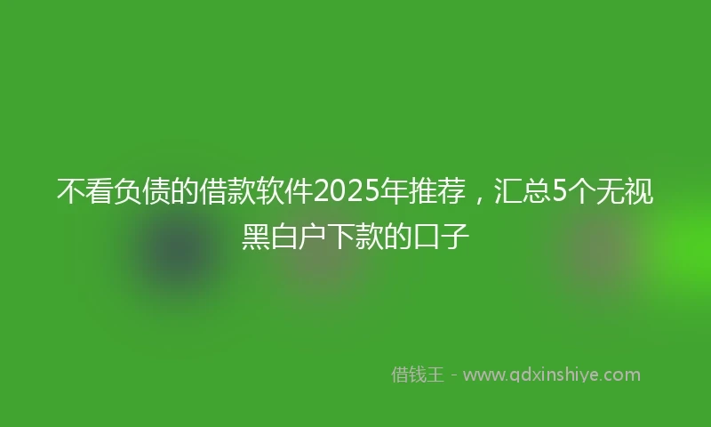 不看负债的借款软件2025年推荐，汇总5个无视黑白户下款的口子