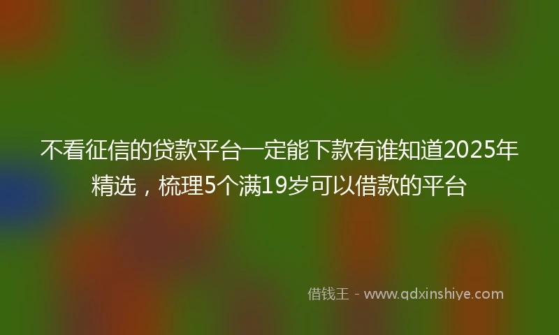 不看征信的贷款平台一定能下款有谁知道2025年精选，梳理5个满19岁可以借款的平台