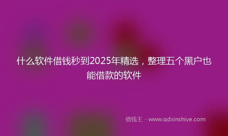 什么软件借钱秒到2025年精选，整理五个黑户也能借款的软件