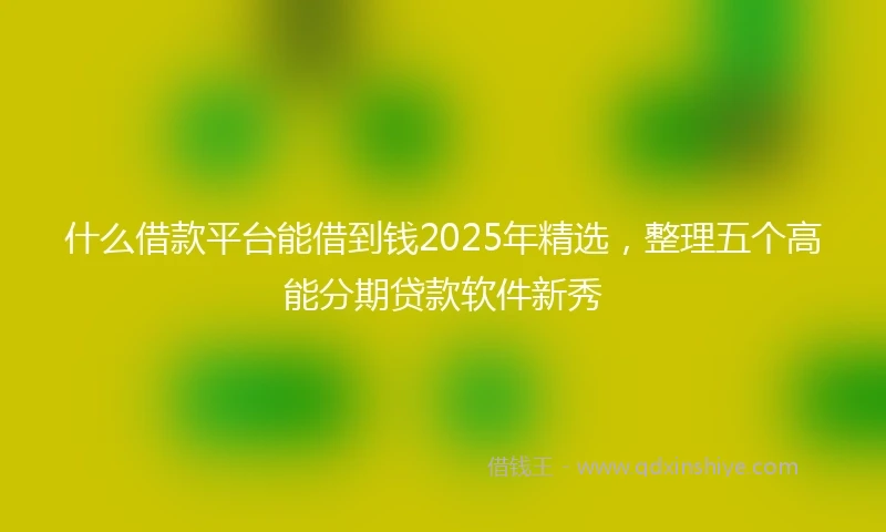 什么借款平台能借到钱2025年精选，整理五个高能分期贷款软件新秀