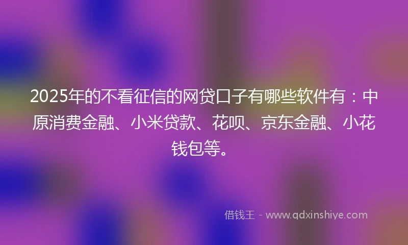 2025年的不看征信的网贷口子有哪些软件有：中原消费金融、小米贷款、花呗、京东金融、小花钱包等。