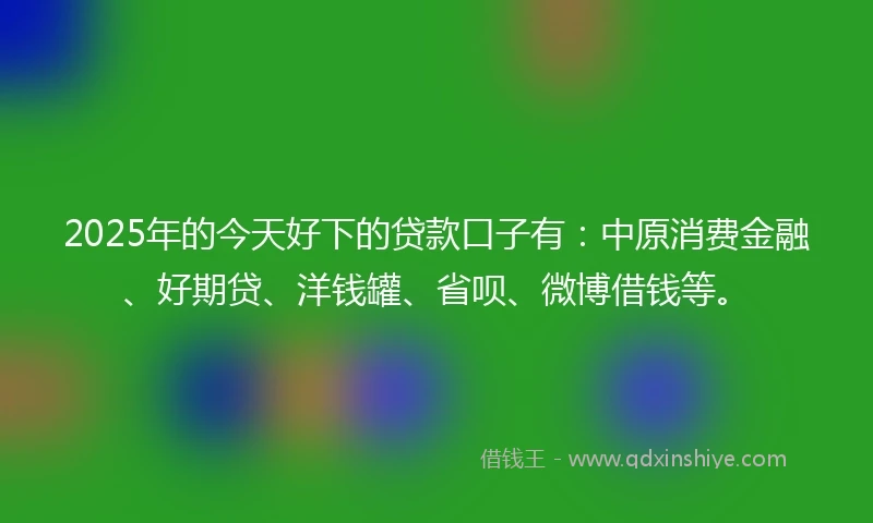 2025年的今天好下的贷款口子有：中原消费金融、好期贷、洋钱罐、省呗、微博借钱等。