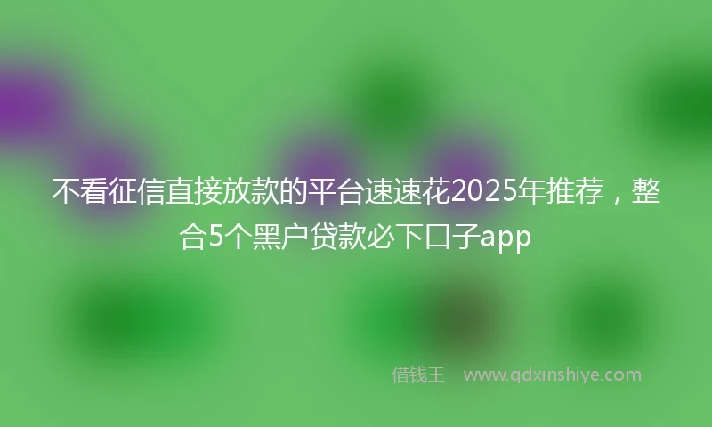 不看征信直接放款的平台速速花2025年推荐，整合5个黑户贷款必下口子app