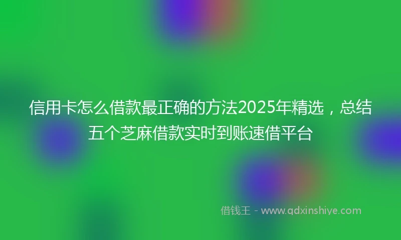 信用卡怎么借款最正确的方法2025年精选,总结五个芝麻借款实时到账速借平台
