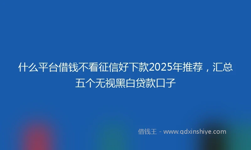 什么平台借钱不看征信好下款2025年推荐，汇总五个无视黑白贷款口子