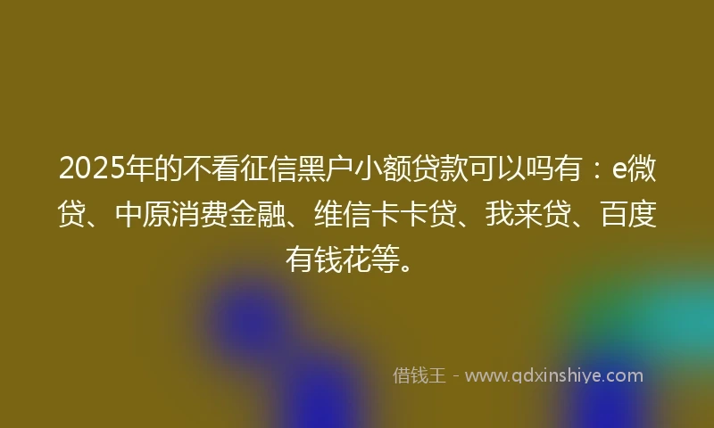 2025年的不看征信黑户小额贷款可以吗有：e微贷、中原消费金融、维信卡卡贷、我来贷、百度有钱花等。
