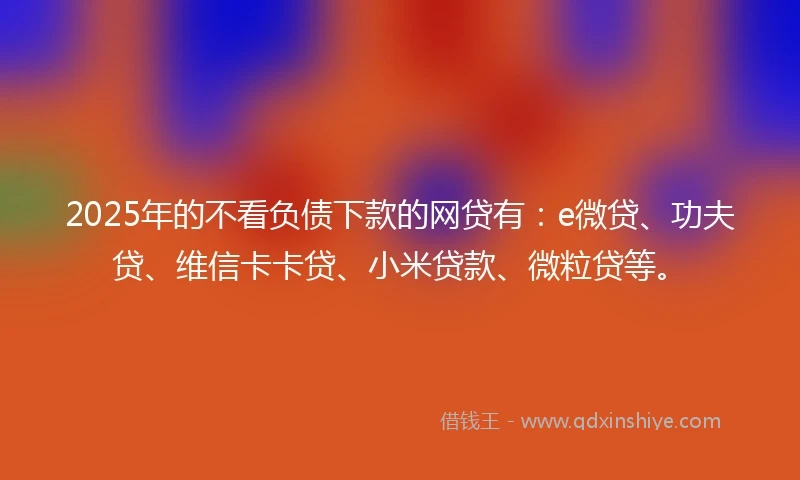 2025年的不看负债下款的网贷有：e微贷、功夫贷、维信卡卡贷、小米贷款、微粒贷等。