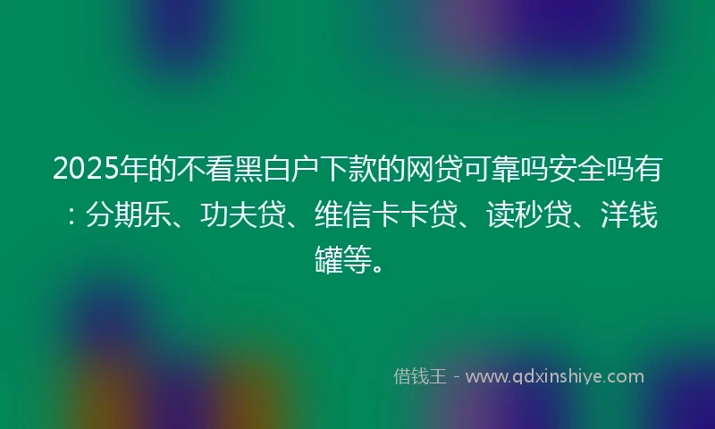 2025年的不看黑白户下款的网贷可靠吗安全吗有：分期乐、功夫贷、维信卡卡贷、读秒贷、洋钱罐等。