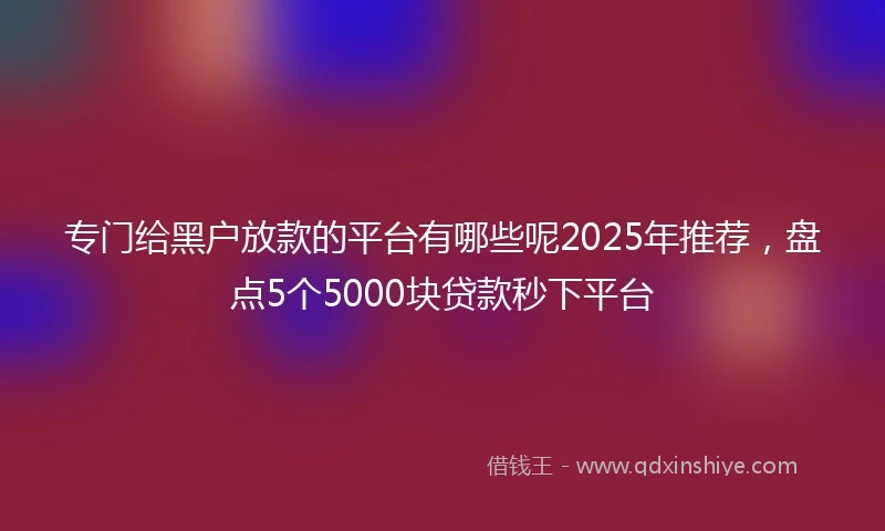 专门给黑户放款的平台有哪些呢2025年推荐，盘点5个5000块贷款秒下平台