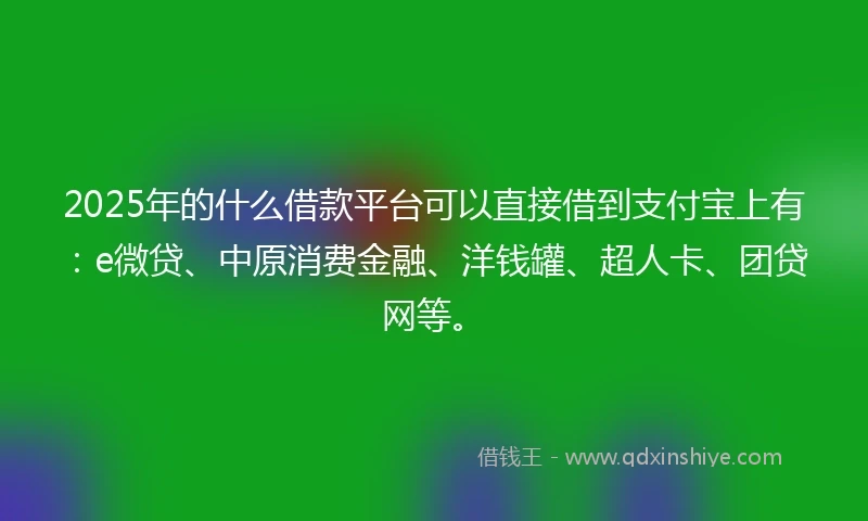 2025年的什么借款平台可以直接借到支付宝上有：e微贷、中原消费金融、洋钱罐、超人卡、团贷网等。