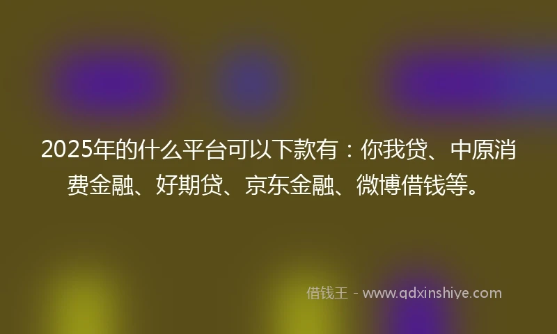 2025年的什么平台可以下款有：你我贷、中原消费金融、好期贷、京东金融、微博借钱等。
