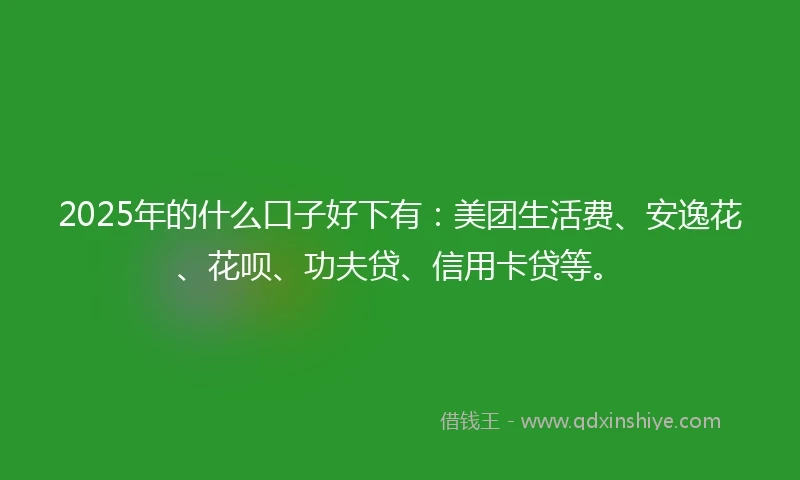 2025年的什么口子好下有：美团生活费、安逸花、花呗、功夫贷、信用卡贷等。