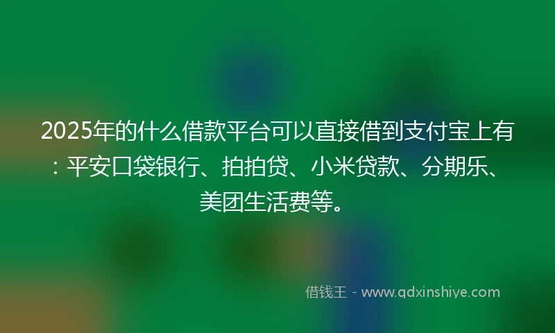 2025年的什么借款平台可以直接借到支付宝上有：平安口袋银行、拍拍贷、小米贷款、分期乐、美团生活费等。
