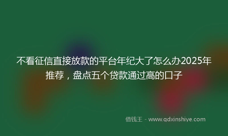 不看征信直接放款的平台年纪大了怎么办2025年推荐，盘点五个贷款通过高的口子
