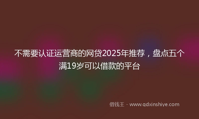 不需要认证运营商的网贷2025年推荐，盘点五个满19岁可以借款的平台
