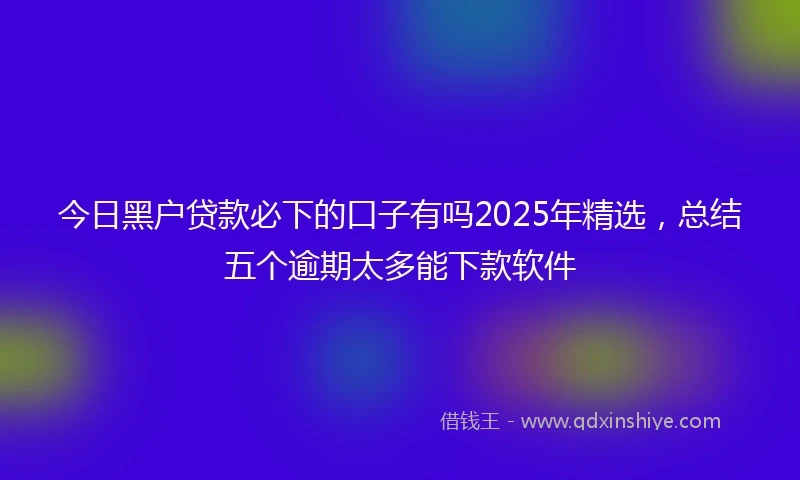 今日黑户贷款必下的口子有吗2025年精选,总结五个逾期太多能下款软件