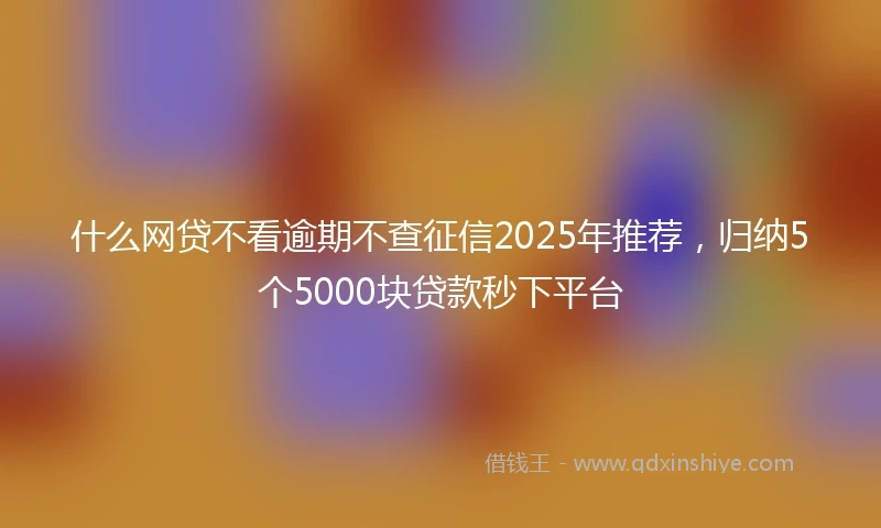 什么网贷不看逾期不查征信2025年推荐，归纳5个5000块贷款秒下平台
