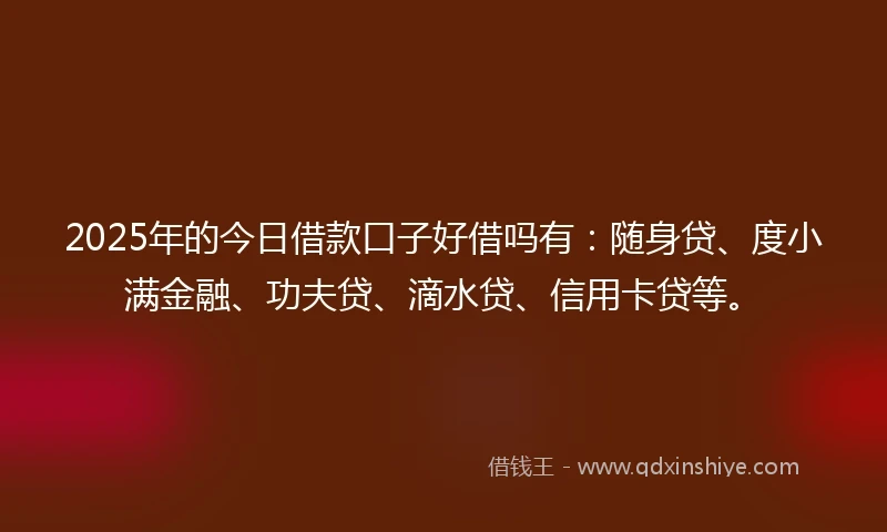 2025年的今日借款口子好借吗有：随身贷、度小满金融、功夫贷、滴水贷、信用卡贷等。
