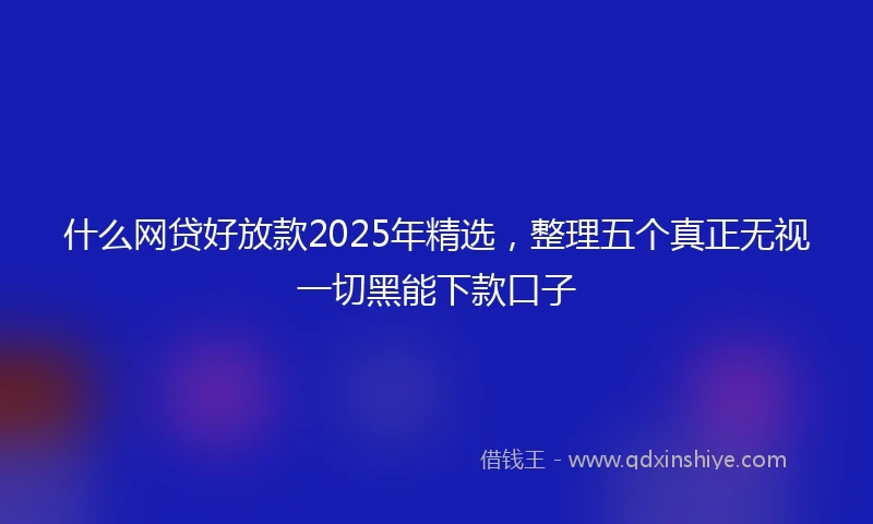 什么网贷好放款2025年精选，整理五个真正无视一切黑能下款口子