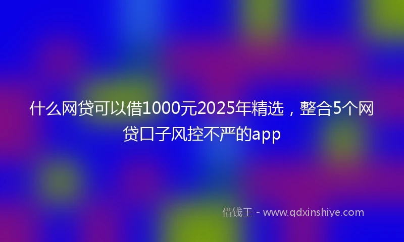 什么网贷可以借1000元2025年精选，整合5个网贷口子风控不严的app