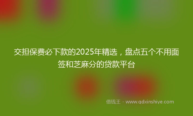 交担保费必下款的2025年精选，盘点五个不用面签和芝麻分的贷款平台