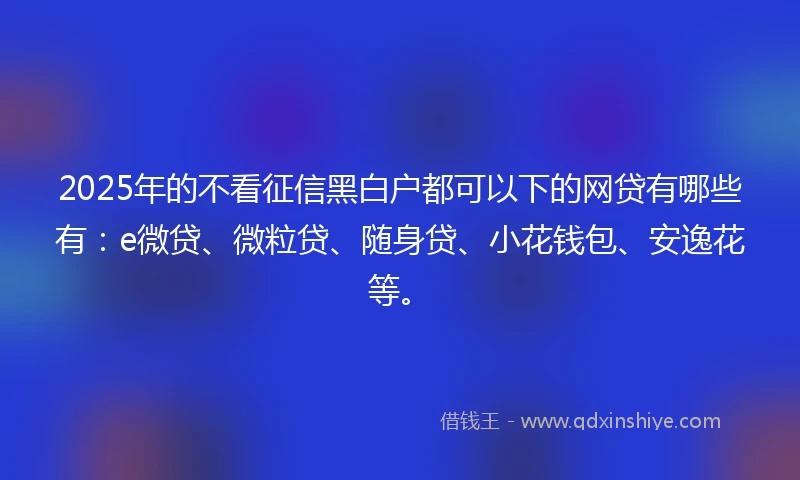 2025年的不看征信黑白户都可以下的网贷有哪些有：e微贷、微粒贷、随身贷、小花钱包、安逸花等。