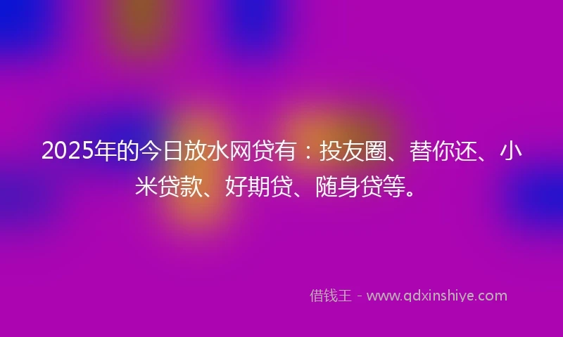 2025年的今日放水网贷有：投友圈、替你还、小米贷款、好期贷、随身贷等。