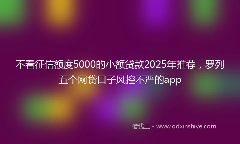 不看征信额度5000的小额贷款2025年推荐，罗列五个网贷口子风控不严的app