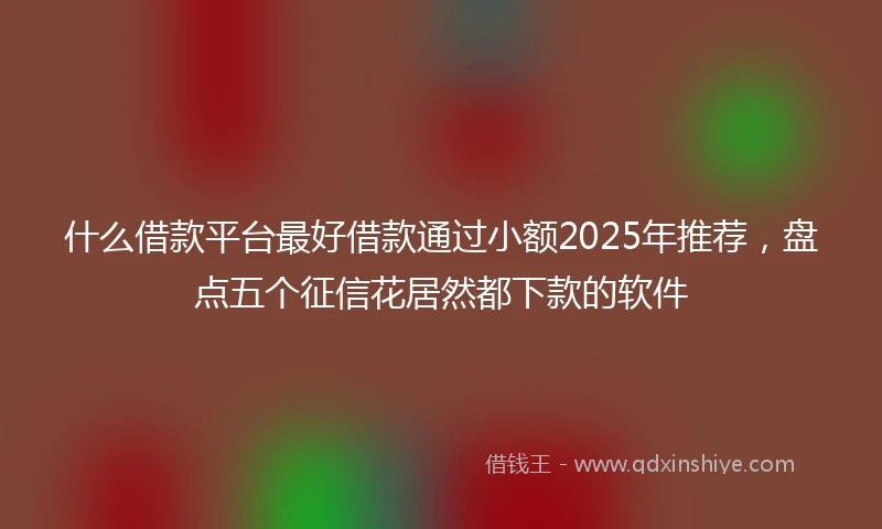 什么借款平台最好借款通过小额2025年推荐，盘点五个征信花居然都下款的软件