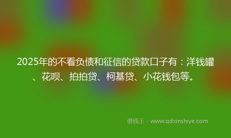 2025年的不看负债和征信的贷款口子有：洋钱罐、花呗、拍拍贷、柯基贷、小花钱包等。