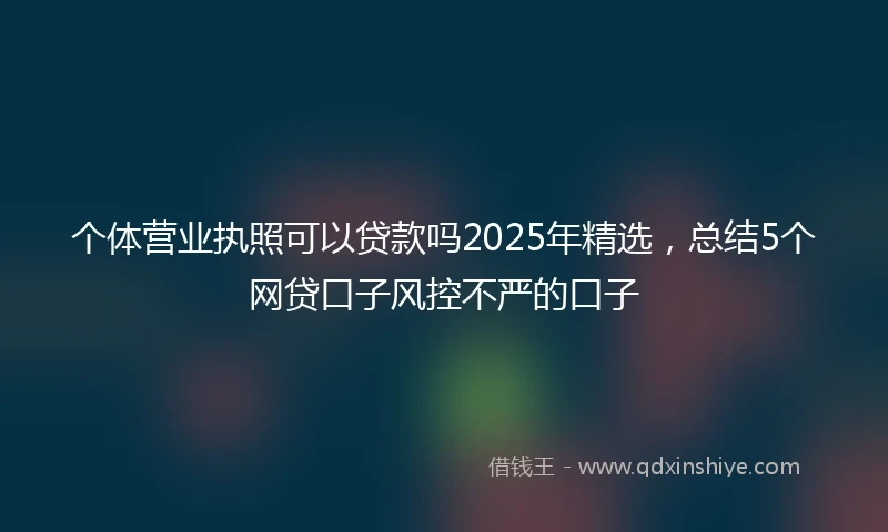 个体营业执照可以贷款吗2025年精选，总结5个网贷口子风控不严的口子