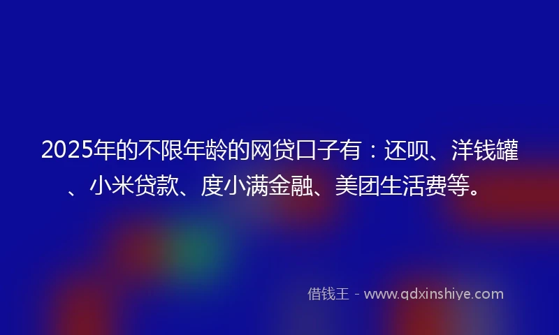 2025年的不限年龄的网贷口子有：还呗、洋钱罐、小米贷款、度小满金融、美团生活费等。