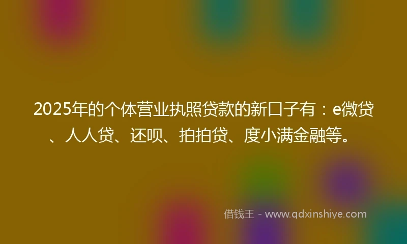 2025年的个体营业执照贷款的新口子有：e微贷、人人贷、还呗、拍拍贷、度小满金融等。