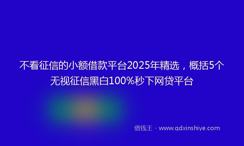 不看征信的小额借款平台2025年精选，概括5个无视征信黑白100%秒下网贷平台