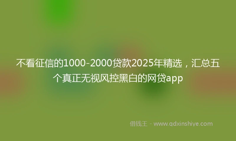 不看征信的1000-2000贷款2025年精选，汇总五个真正无视风控黑白的网贷app